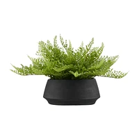 Pot with Artificial Fern