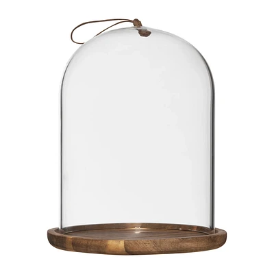Glass Dome with Wood Base