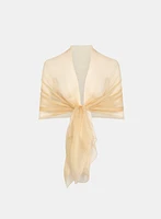 Sheer Organza Scarf