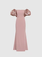 Bouffant Sleeve Dress