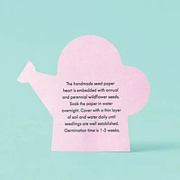 Potted Hearts Plant Kit