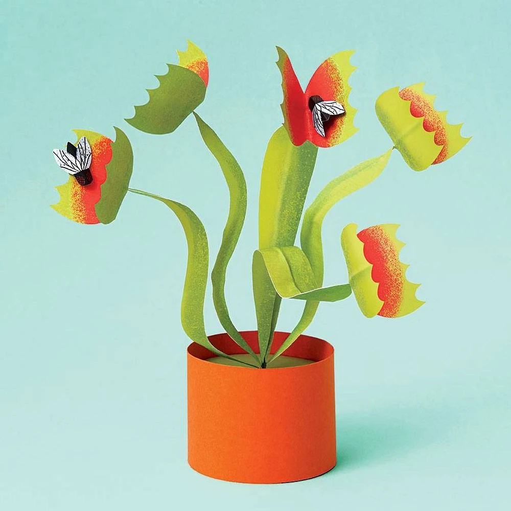 Venus Flytrap Kit