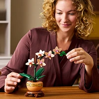 LEGO Botanicals Mini Orchid 10343