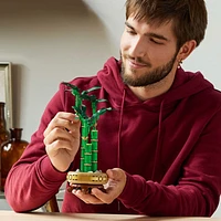 LEGO Botanicals Lucky Bamboo 10344