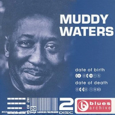 Muddy Waters - Story of the Blues: Muddy Waters