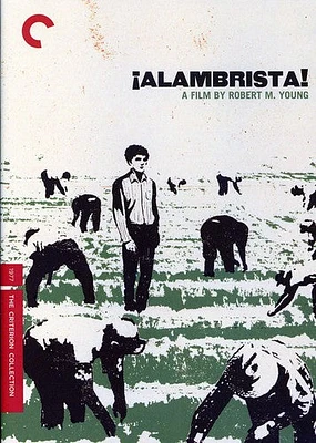 Alambrista! (Criterion Collection