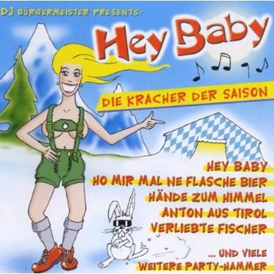 Hey Baby-Die Kracher Der Saison - Hey Baby-Die Kracher Der Saison