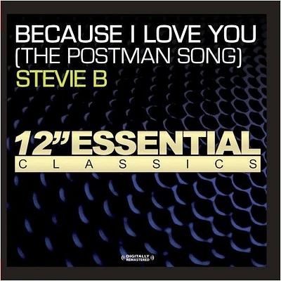 Stevie B - Because I Love You (The Postman Song)