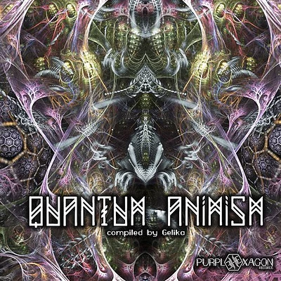 Quantum Animism/ Various - Quantum Animism / Various