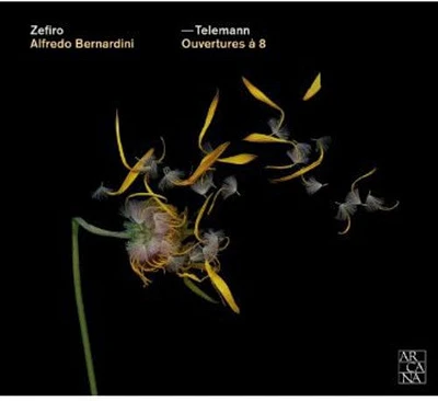 Telemann/ Zefiro Baroque Orchestra/ Bernardini - Ouvertures a 8