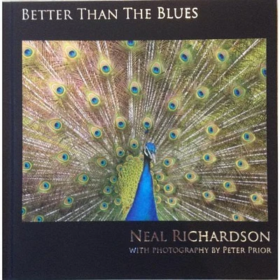 Neal Richardson - Better Than the Blues