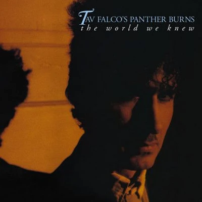 Tav Falco / Panther Burns - The World We Knew