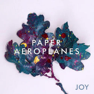 Paper Aeroplanes - Joy