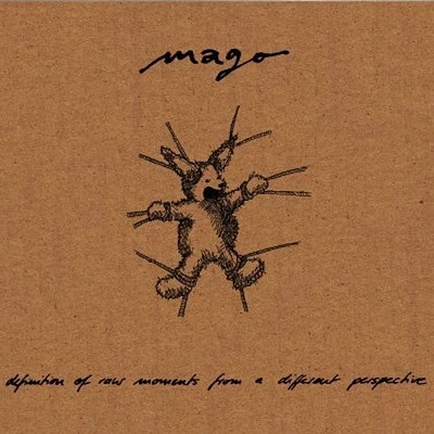 Mago - Definition of Raw Moments from a Different Perspec