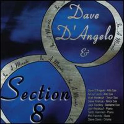 Dave D'Angelo / Section 8 - In a Minute