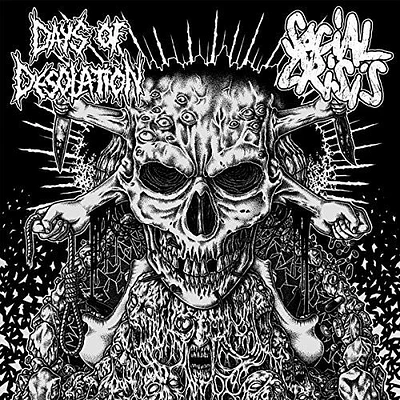 Social Crisis/ Days of Desolation - Split