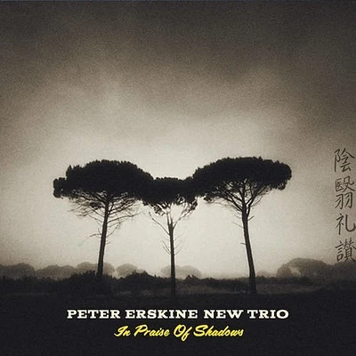 Peter Erskine New Trio - In Praise Of Shadows