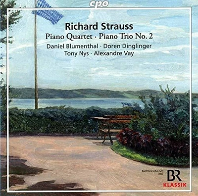 Strauss/ Blumenthal/ Vay - Piano Quartet / Piano Trio 2