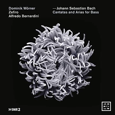 J.S. Bach / Bernardini/ Worner - Cantatas & Arias for Bass