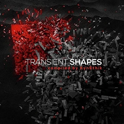 Transient Shapes/ Various - Transient Shapes / Various