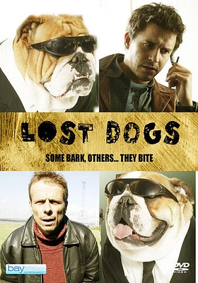 Lost Dogs