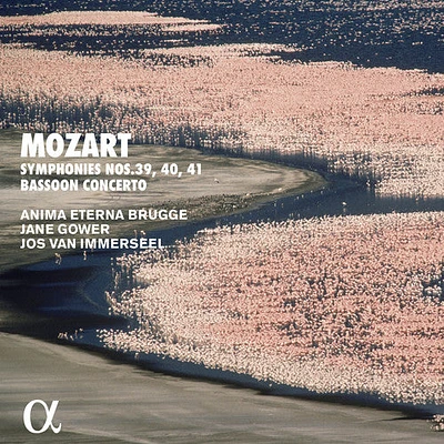 Mozart/ Brugge - Bassoon Concerto