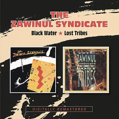 Zawinul Syndicate - Black Water / Lost Tribes