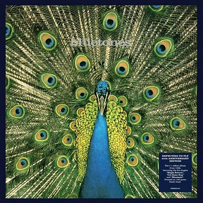 Bluetones - Expecting To Fly: 25th Anniversary [Gatefold 180-Gram Black Vinyl]