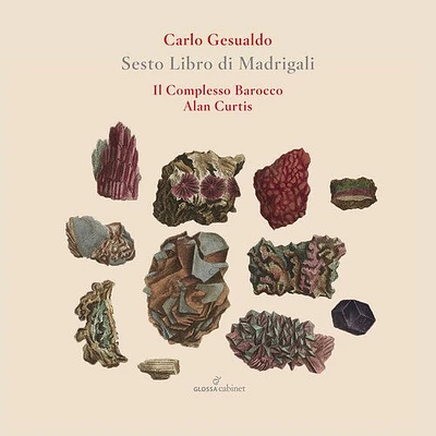 Gesualdo/ Il Complesso Barocco/ Curtis - Sesto Libro de Madrigali