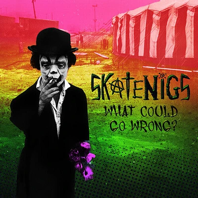 Skatenigs - What Could Go Wrong