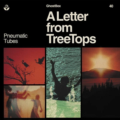 Pneumatic Tubes - Letter From Treetops