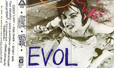 Sonic Youth - Evol