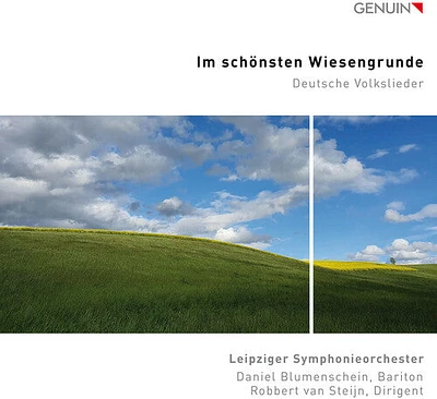 Mendelssohn/ Leipziger Symphonieorchester - Im Schonsten Wiesengrunde