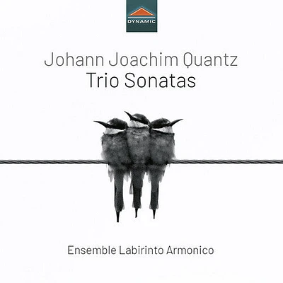 Quantz/ Ensemble Labirinto Armonico - Trio Sonatas