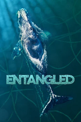 Entangled