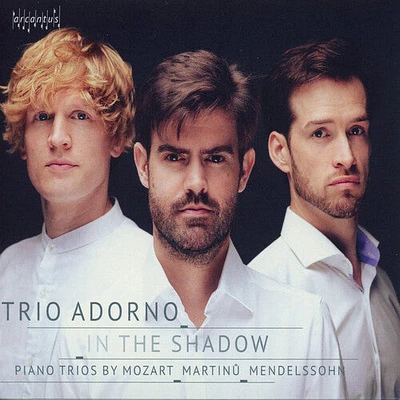 Mendelssohn/ Trio Adorno - In the Shadow