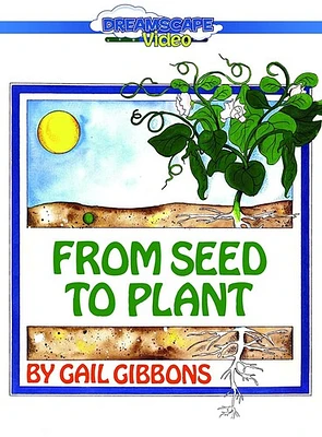 From Seed To Plant