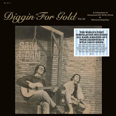 Diggin' for Gold Vol. 13/ Various - Diggin' For Gold Vol. 13 (Various Artists)