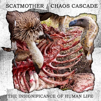 Scatmother & Chaos Cascade - The Insignificance Of Human Life