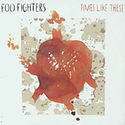 Foo Fighters - Times Like These