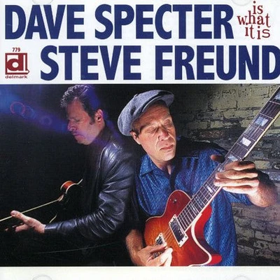 Dave Specter / Steve Freund - Is What It Is