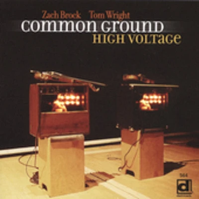 Common Ground - High Voltage