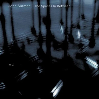 John Surman - Spaces In Between