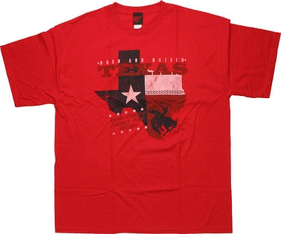 Flag Texas Born and Raised T-Shirt