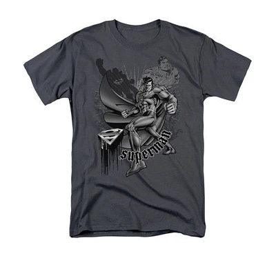 Superman Fight And Flight T-Shirt