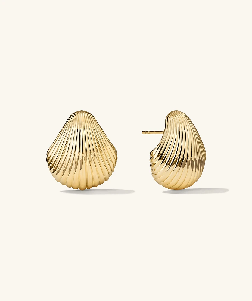 Seashell Studs