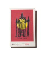 Redwoods Postcard