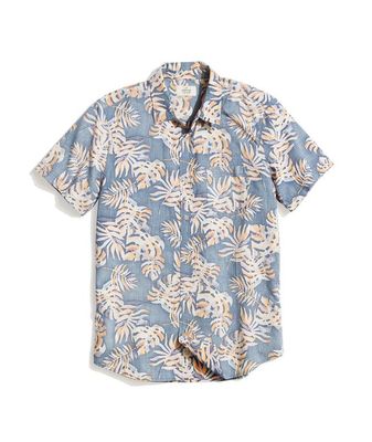 Koloa Button Down