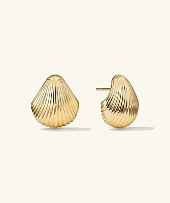 Seashell Studs