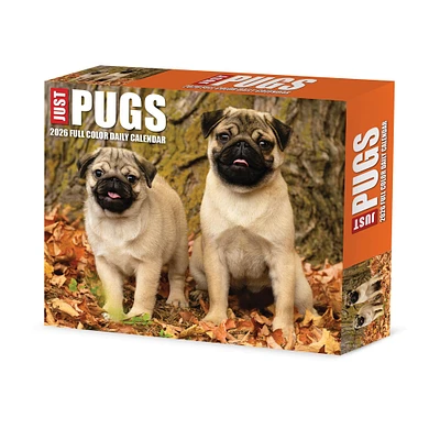 Just Pugs 2026 Box Calendar - Online Exclusive